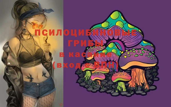 эйфоретик Армянск