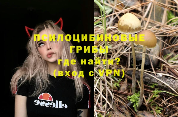 эйфоретик Армянск
